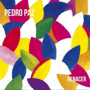 Download track Perdao Pedro Paz