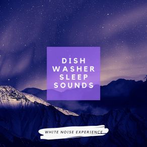 Download track Introduced To White Washer White Noise Experience