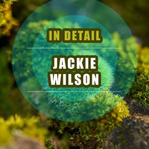 Download track Excuse Me For Lovin' Jackie Wilson