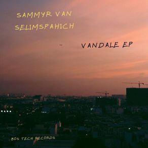 Download track Funky Bounce Sammyr Van Selimspahich