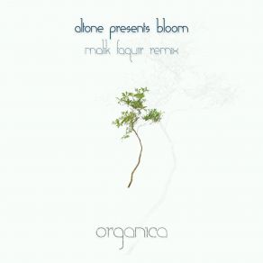 Download track Bloom Altone