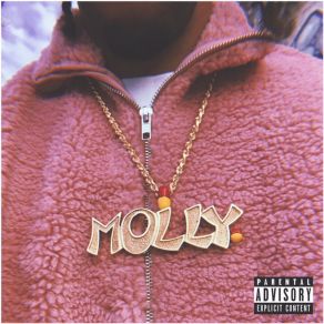 Download track Mollys World (Outro) Molly Mikes