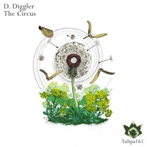 Download track Conclusion (Original Mix) D. Diggler