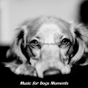 Download track Playful Backdrops For Training Dogs Music For Dogs Moments