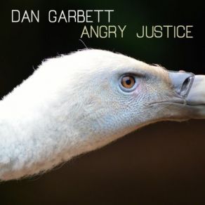 Download track The Robust Vacuity Dan Garbett