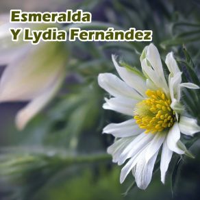 Download track La Luna Enamorada Lydia Fernández