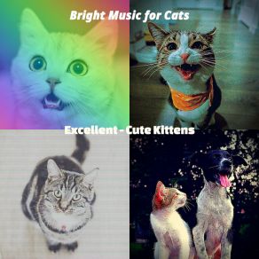 Download track Sleeping Cats - Feelings Bright Music For Cats