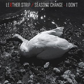 Download track Dead Swan Leaether Strip, Seasons Change