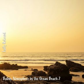 Download track Balmy Atmosphere By The Ocean Beach, Pt. 19 Steve Brassel