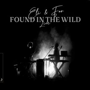 Download track Wild Skies Interlude - Live Eli & Fur