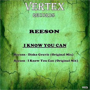 Download track Disko Gruvic Reeson