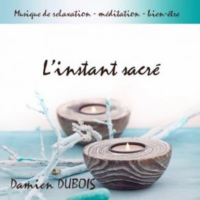 Download track Clair De Lune Damien Dubois