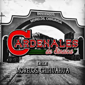 Download track Si Te Vuelves A Enamorar Los Cardenales De Sinaloa