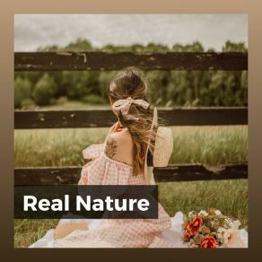 Download track Morning Nature Sounds, Pt. 24 Nature Sounds Artists