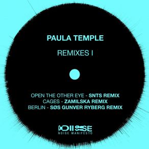 Download track Open The Other Eye (SNTS Remix) Paula TempleSnts