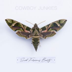 Download track Hell Is Real Cowboy Junkies