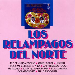 Download track Ahi Perdimos Todo Los Relampagos Del Norte