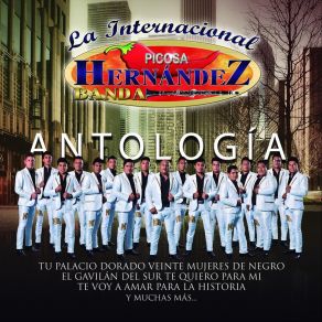 Download track La Sombra De Mis Noches La Internacional Picosa Hernandez Banda