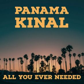 Download track All You Ever Needed Panama Kinal