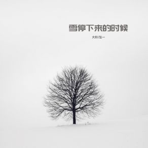 Download track 雪停下来的时候 (合唱版伴奏) Da Zi