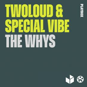 Download track The Whys (Robin Stoll Remix) Special VibeRobin Stoll