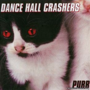 Download track Cat Fight Dance Hall Crashers