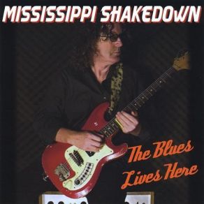 Download track Little Miss Dynamite Mississippi Shakedown