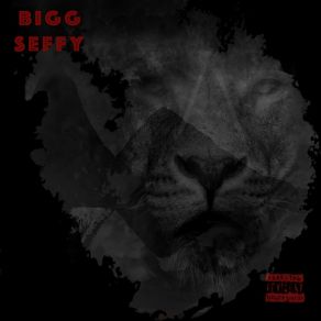 Download track MOMENT Bigg Seffy