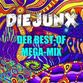 Download track Wenn Du Kommst 2019 (Der Partyzelt-Mix) Die Junx