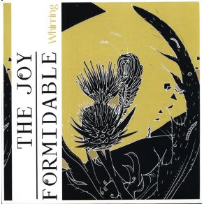 Download track Chwyrlio The Joy Formidable