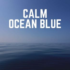 Download track Waves From The Pacific Ocean, Pt. 11 Calm Ocean Sounds