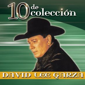 Download track Qué Te Quedó David Lee GarzaLos Musicales