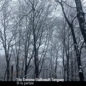 Download track Si Tu Partais Jean Derome, Pierre Tanguay, Normand Guilbeault, Trio Derome Guilbeault Tanguay