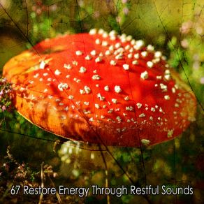 Download track Mystical Remembrance Calming Sounds