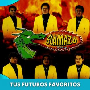 Download track Todo De Mi Flamazo Musical