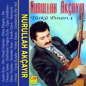 Download track Eğin Dedikleri Nurullah Akçayır