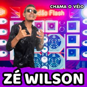 Download track Bebim Tô Bebim Zé Wilson