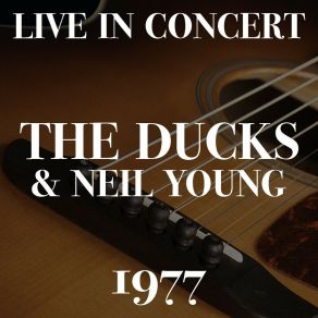 Download track Love You Forever (Live) Neil Young