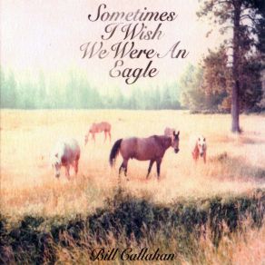 Download track All Thoughts Are Prey To Some Beast Bill Callahan