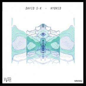 Download track Back To Home (Original Mix) David S-K