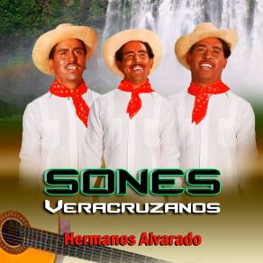 Download track Lindo Veracruz Hermanos Alvarado