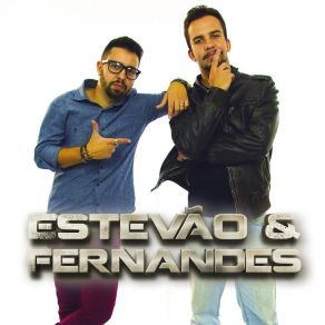 Download track Papo De Jacaré Estevão E Fernandes