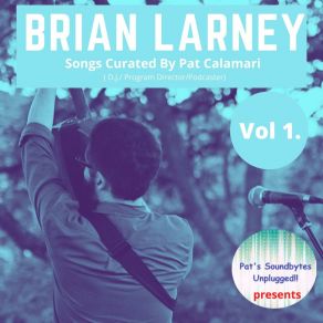 Download track Wrong Frame Of Mind Brian Larney