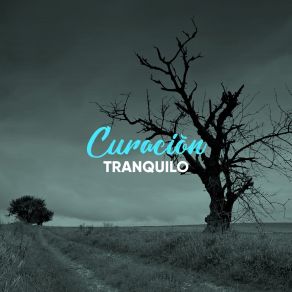 Download track Lluvia Constante Loopable Ambience