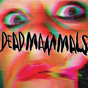 Download track Belly Of The River Dead Mammals