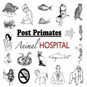 Download track Rule Of Thumb Post Primates