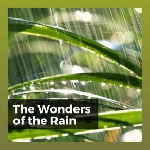 Download track 20 Rain Sounds, Pt. 18 Relaxing Rain Sounds