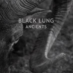 Download track Mother Of The Sun Black Lung