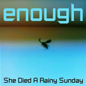 Download track The Plan Apart From The Plan She Died A Rainy Sunday