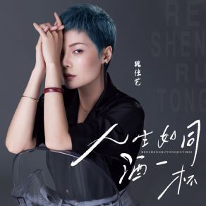 Download track 人生如同酒一杯 魏佳艺